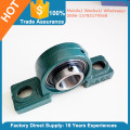 Stainless Steel Bearing UCP205-16 with Cast Iron Housing